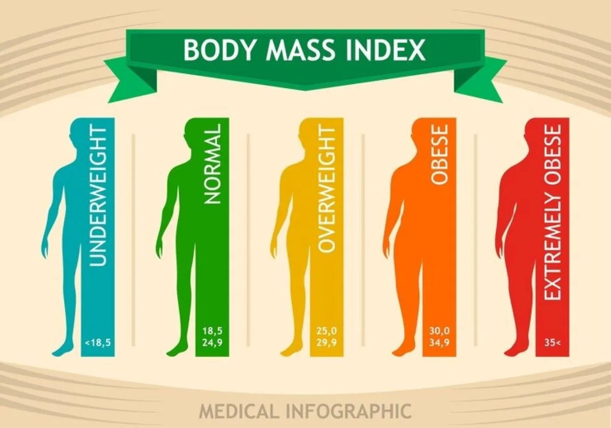 Body mass index (BMI) vs. body fat: Which is more significant?